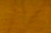 Thumbnail of G3_camel_brau.jpg