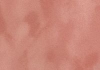 Thumbnail of w15_altrosa.jpg